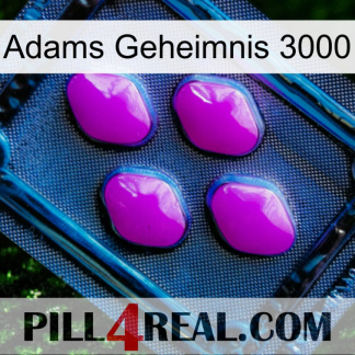 Adams Secret 3000 04